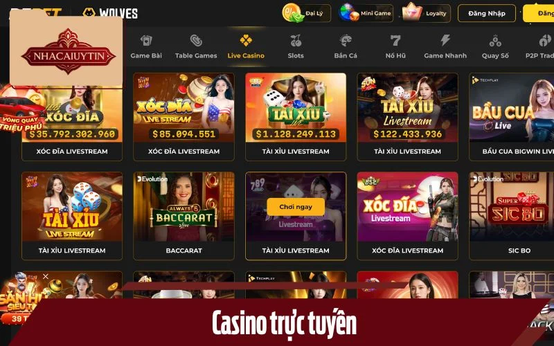 Tham gia thế giới bài bạc chân thực như tại sòng bạc Vegas