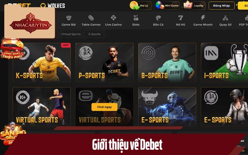 Tổng quan về Debet