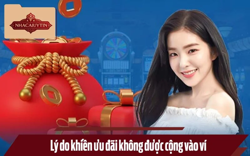 Lý do khiến ưu đãi không được cộng vào ví