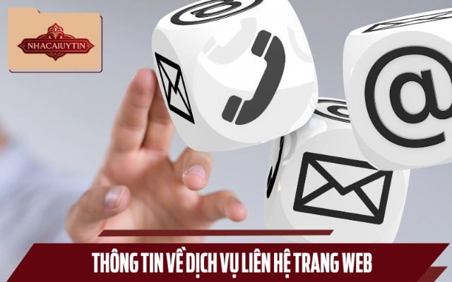 Tổng quan cho người mới về thông tin liên hệ