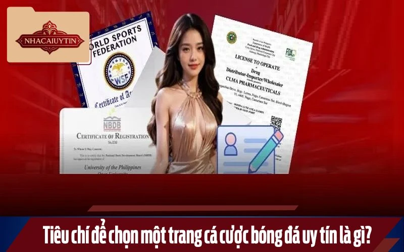 Những tiêu chí vàng để chọn trang cá cược bóng đá uy tín