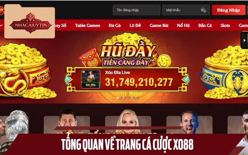 Giới thiệu trang cá cược XO88